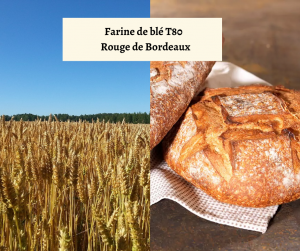 01.Farine de blé Rouge de Bordeaux T80 - 3 kg