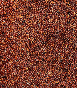 Graines de QUINOA Rouge - 5 kg