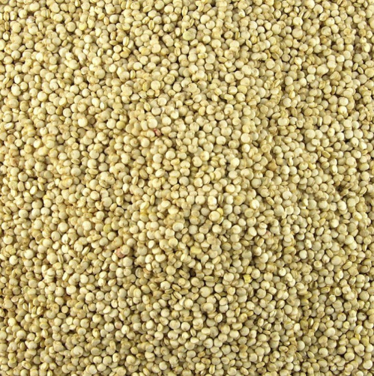 Graines de QUINOA blanc- 5 kg