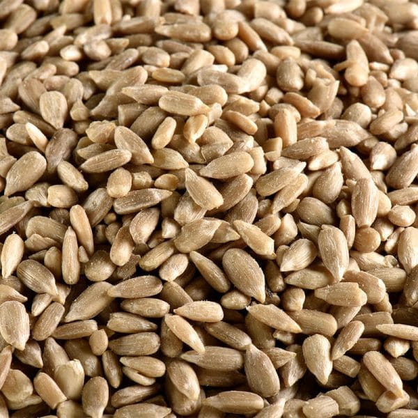 Graines de tournesol – 4,5 kg (+ doseur offert) - Hamiform